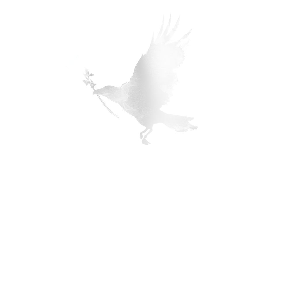 Twenty Five North